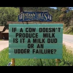 Meet your Posher, Cassandra